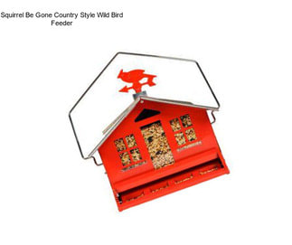 Squirrel Be Gone Country Style Wild Bird Feeder