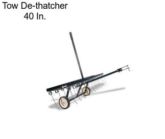 Tow De-thatcher 40 In.