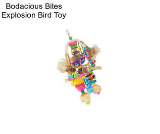 Bodacious Bites Explosion Bird Toy