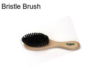 Bristle Brush