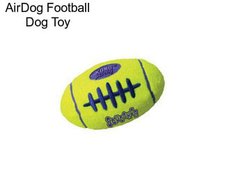 AirDog Football Dog Toy