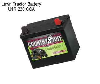 Lawn Tractor Battery U1R 230 CCA