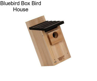 Bluebird Box Bird House