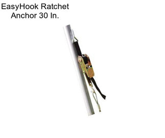 EasyHook Ratchet Anchor 30 In.