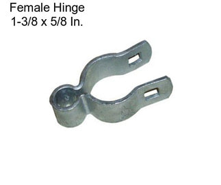 Female Hinge 1-3/8 x 5/8 In.
