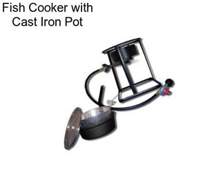 Fish Cooker with Cast Iron Pot
