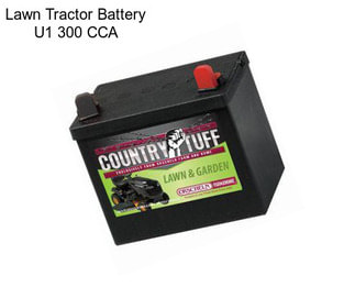 Lawn Tractor Battery U1 300 CCA