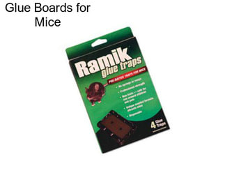 Glue Boards for Mice