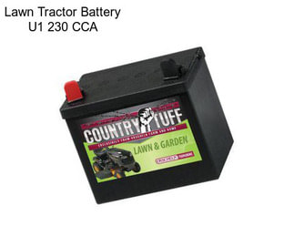 Lawn Tractor Battery U1 230 CCA