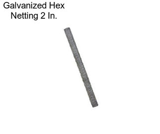 Galvanized Hex Netting 2 In.