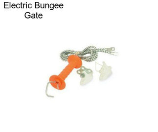 Electric Bungee Gate