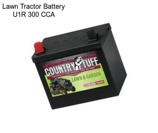 Lawn Tractor Battery U1R 300 CCA