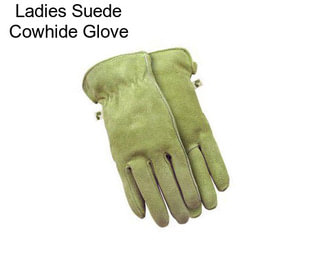 Ladies Suede Cowhide Glove