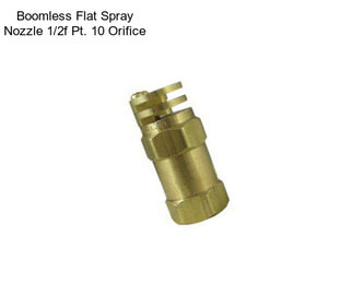 Boomless Flat Spray Nozzle 1/2f Pt. 10 Orifice