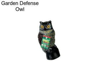 Garden Defense Owl