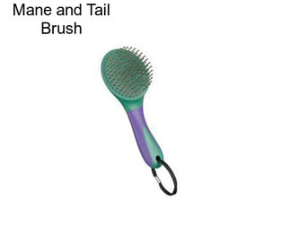 Mane and Tail Brush