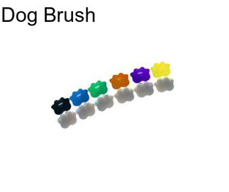 Dog Brush