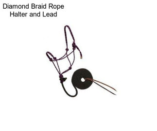 Diamond Braid Rope Halter and Lead