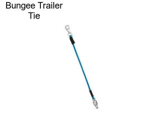 Bungee Trailer Tie