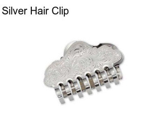 Silver Hair Clip