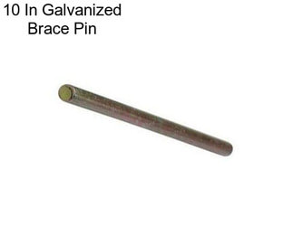 10 In Galvanized Brace Pin