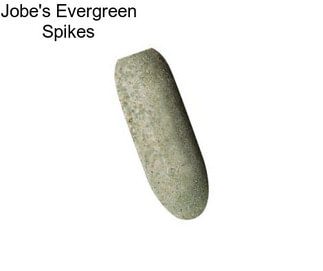 Jobe\'s Evergreen Spikes