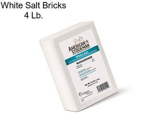White Salt Bricks 4 Lb.