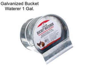 Galvanized Bucket Waterer 1 Gal.