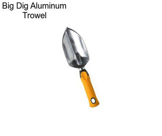 Big Dig Aluminum Trowel