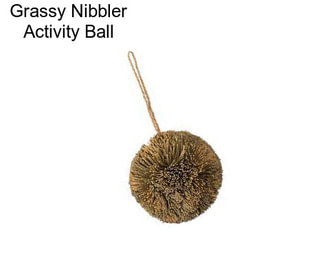 Grassy Nibbler Activity Ball