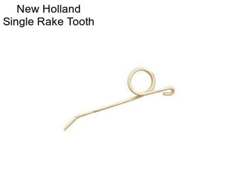 New Holland Single Rake Tooth