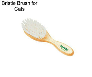 Bristle Brush for Cats