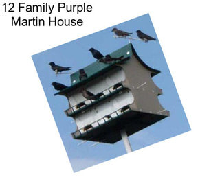 12 Family Purple Martin House