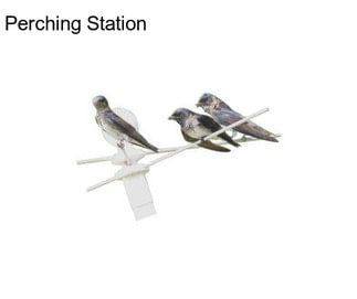 Perching Station