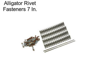 Alligator Rivet Fasteners 7 In.