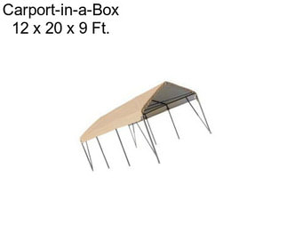Carport-in-a-Box 12 x 20 x 9 Ft.