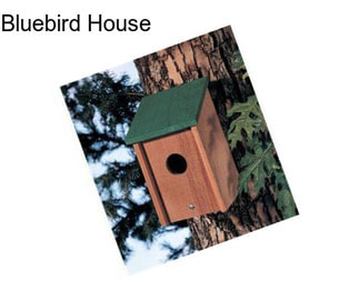 Bluebird House