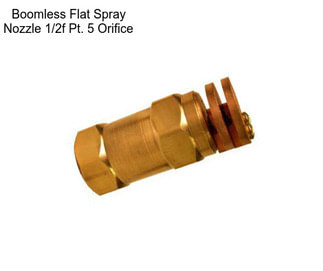 Boomless Flat Spray Nozzle 1/2f Pt. 5 Orifice