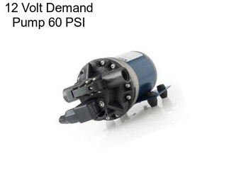 12 Volt Demand Pump 60 PSI