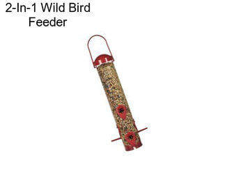 2-In-1 Wild Bird Feeder