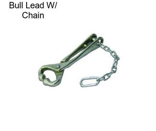 Bull Lead W/ Chain
