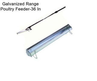 Galvanized Range Poultry Feeder-36 In