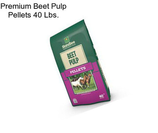 Premium Beet Pulp Pellets 40 Lbs.