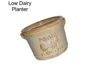 Low Dairy Planter