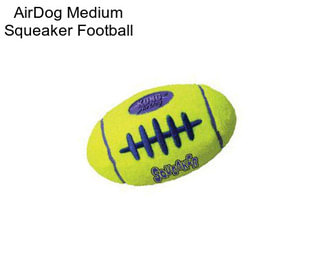 AirDog Medium Squeaker Football