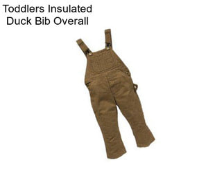 Toddlers Insulated Duck Bib Overall