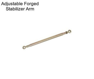 Adjustable Forged Stabilizer Arm