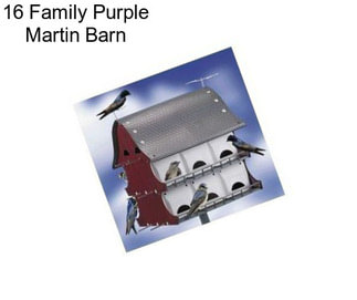 16 Family Purple Martin Barn