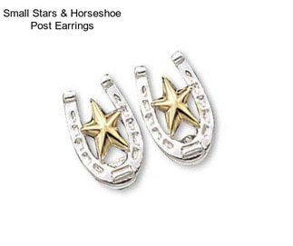 Small Stars & Horseshoe Post Earrings