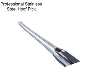 Professional Stainless Steel Hoof Pick